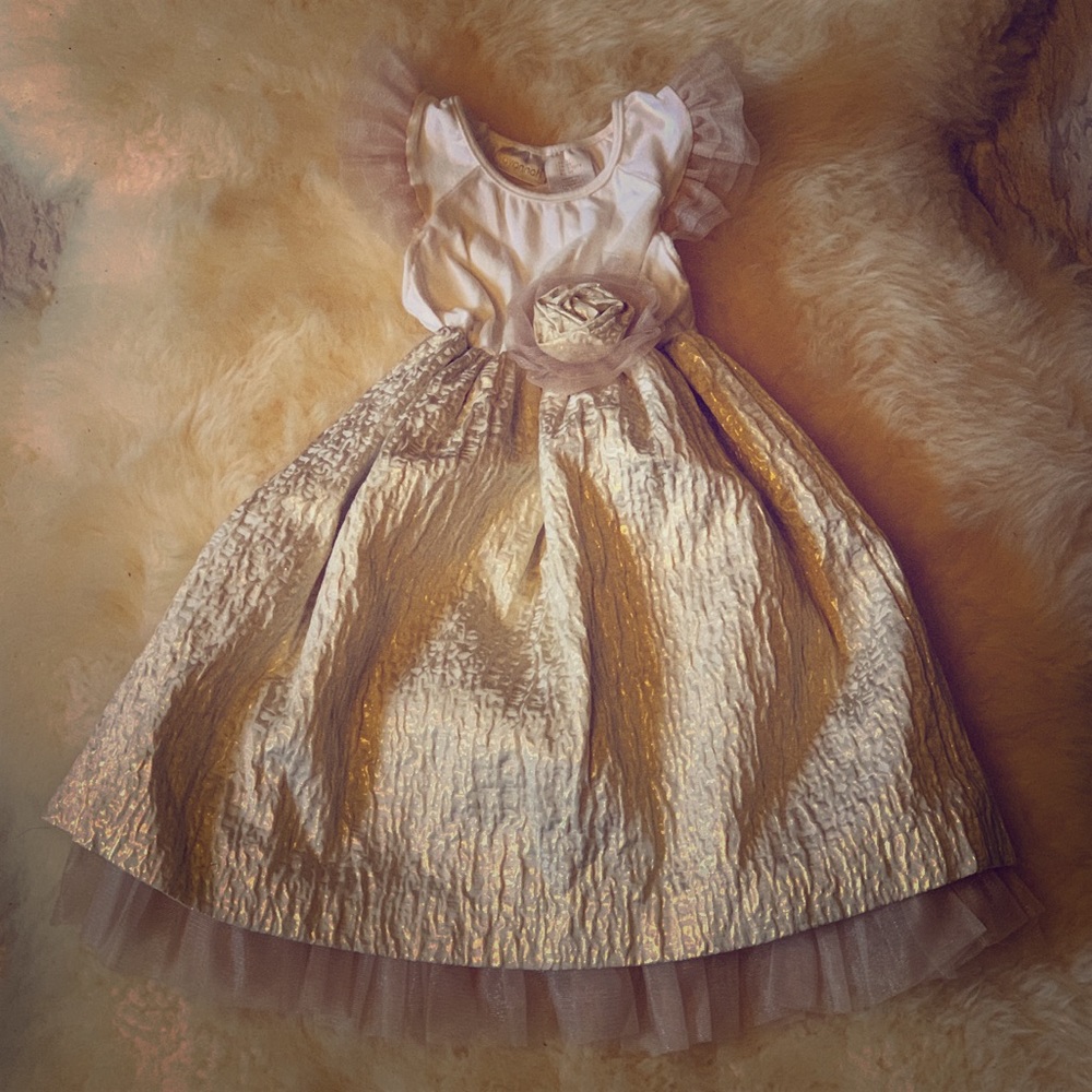 Princess Dress